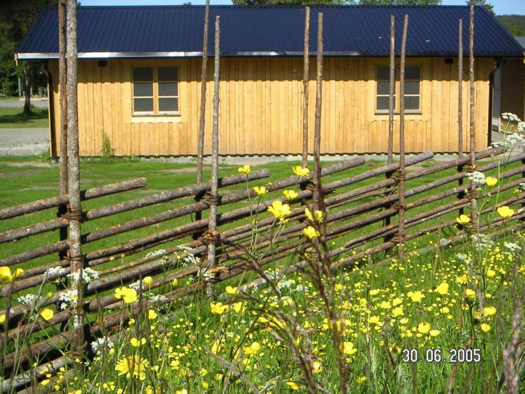 Saiva Camping & Stugby Vilhelmina Exterior photo